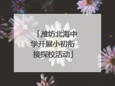 潍坊北海中学开展小初衔接探校活动