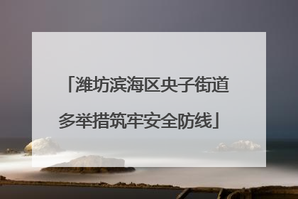 潍坊滨海区央子街道多举措筑牢安全防线