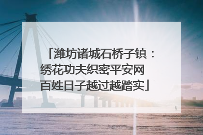 潍坊诸城石桥子镇：绣花功夫织密平安网 百姓日子越过越踏实