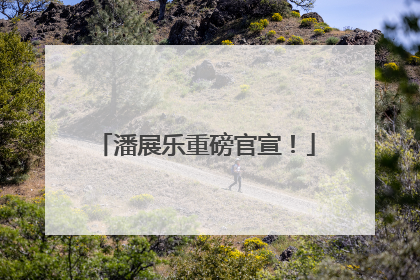 潘展乐重磅官宣！
