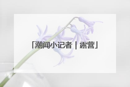 潮闻小记者｜露营