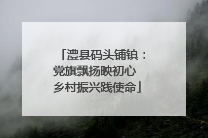 澧县码头铺镇：党旗飘扬映初心 乡村振兴践使命