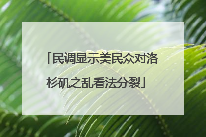 民调显示美民众对洛杉矶之乱看法分裂