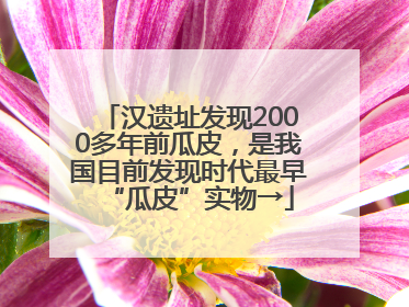 汉遗址发现2000多年前瓜皮，是我国目前发现时代最早“瓜皮”实物→
