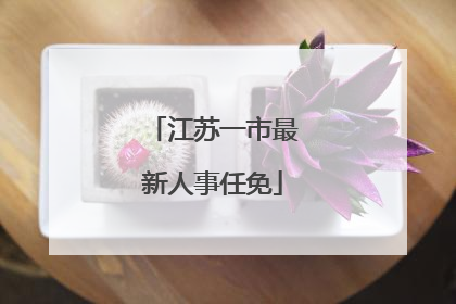 江苏一市最新人事任免