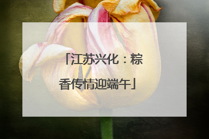 江苏兴化：粽香传情迎端午