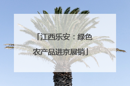 江西乐安：绿色农产品进京展销