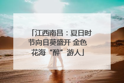 江西南昌：夏日时节向日葵盛开 金色花海“醉”游人
