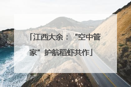 江西大余：“空中管家”护航稻虾共作