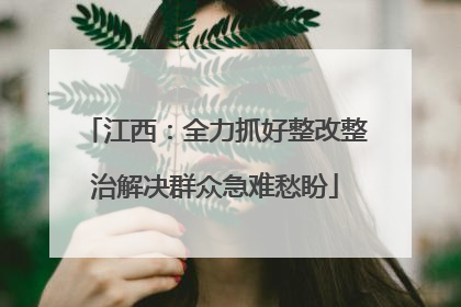 江西：全力抓好整改整治解决群众急难愁盼