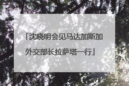 沈晓明会见马达加斯加外交部长拉萨塔一行