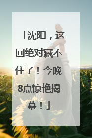 沈阳，这回绝对藏不住了！今晚8点惊艳揭幕！