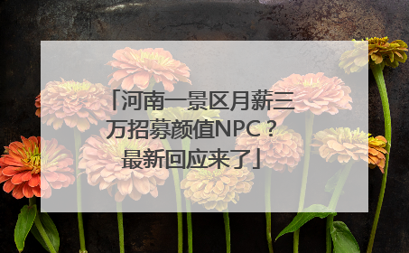 河南一景区月薪三万招募颜值NPC？最新回应来了