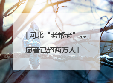 河北“老帮老”志愿者已超两万人