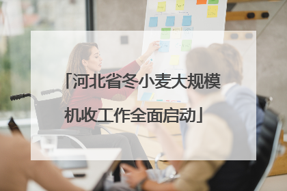 河北省冬小麦大规模机收工作全面启动