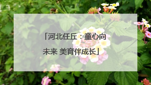 河北任丘：童心向未来 美育伴成长