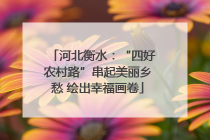 河北衡水：“四好农村路”串起美丽乡愁 绘出幸福画卷