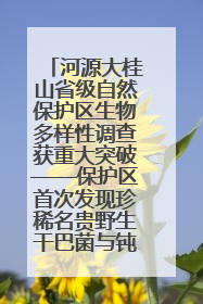 河源大桂山省级自然保护区生物多样性调查获重大突破——保护区首次发现珍稀名贵野生干巴菌与钝尾两头蛇