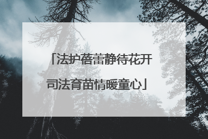 法护蓓蕾静待花开 司法育苗情暖童心