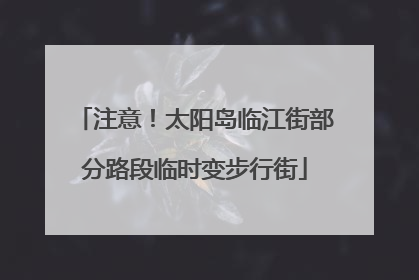 注意！太阳岛临江街部分路段临时变步行街