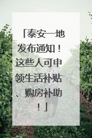 泰安一地发布通知！这些人可申领生活补贴、购房补助！