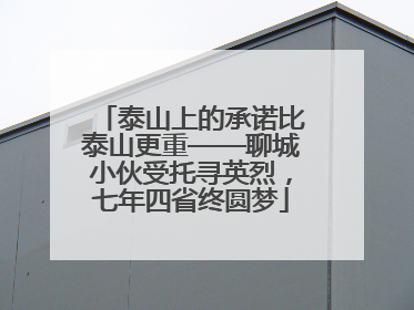 泰山上的承诺比泰山更重——聊城小伙受托寻英烈，七年四省终圆梦