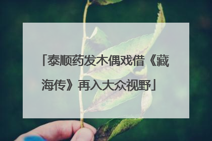 泰顺药发木偶戏借《藏海传》再入大众视野