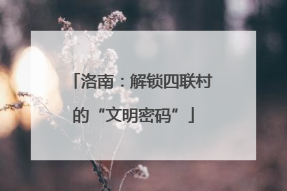 洛南：解锁四联村的“文明密码”