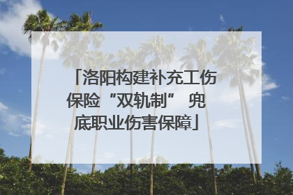 洛阳构建补充工伤保险“双轨制” 兜底职业伤害保障