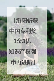 洛阳斩获中国专利奖1金3优 知识产权强市再进阶