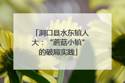 洞口县水东镇人大：“蘑菇小镇”的破局实践