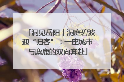 洞见岳阳丨洞庭碧波迎“归客”：一座城市与麋鹿的双向奔赴