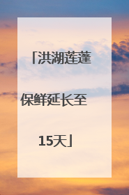 洪湖莲蓬保鲜延长至15天