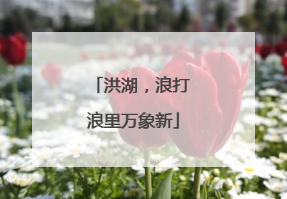 洪湖，浪打浪里万象新