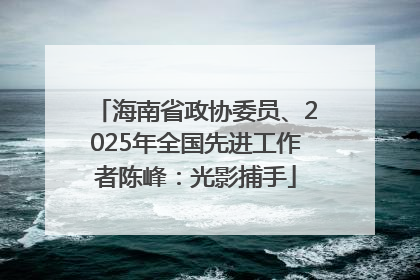 海南省政协委员、2025年全国先进工作者陈峰：光影捕手