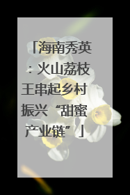 海南秀英：火山荔枝王串起乡村振兴“甜蜜产业链”