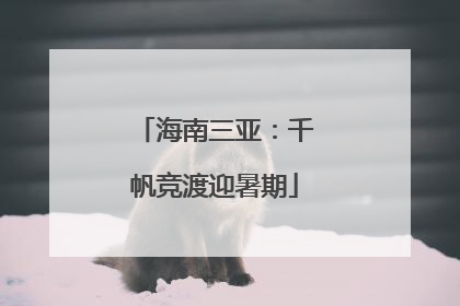 海南三亚：千帆竞渡迎暑期