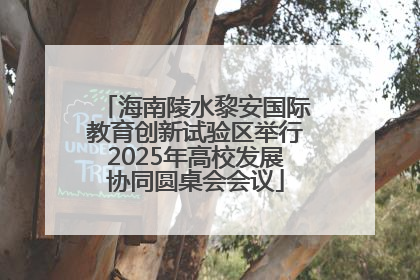 海南陵水黎安国际教育创新试验区举行2025年高校发展协同圆桌会会议