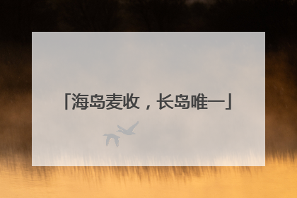 海岛麦收，长岛唯一