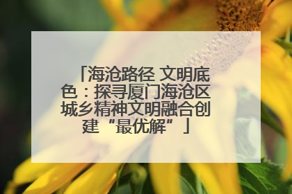 海沧路径 文明底色：探寻厦门海沧区城乡精神文明融合创建“最优解”