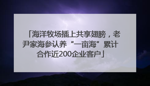 海洋牧场插上共享翅膀，老尹家海参认养“一亩海”累计合作近200企业客户