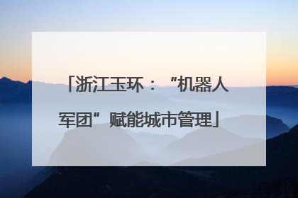 浙江玉环：“机器人军团”赋能城市管理