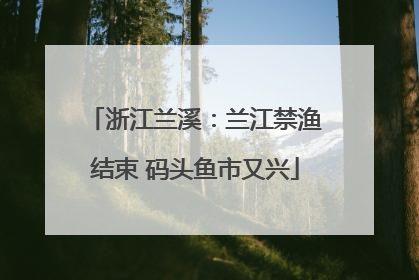 浙江兰溪：兰江禁渔结束 码头鱼市又兴