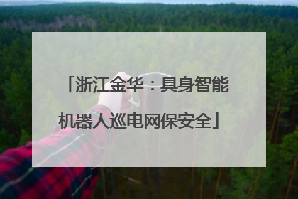 浙江金华：具身智能机器人巡电网保安全