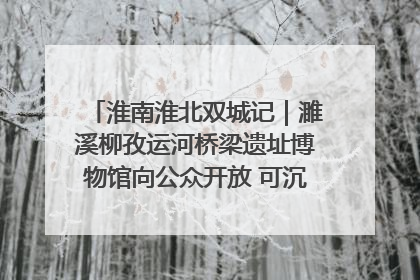 淮南淮北双城记｜濉溪柳孜运河桥梁遗址博物馆向公众开放 可沉浸式触摸历史