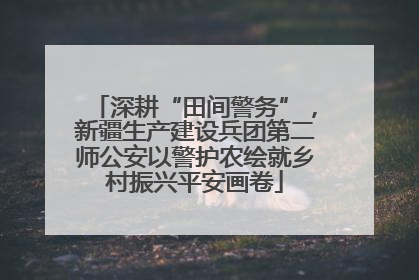 深耕“田间警务”，新疆生产建设兵团第二师公安以警护农绘就乡村振兴平安画卷