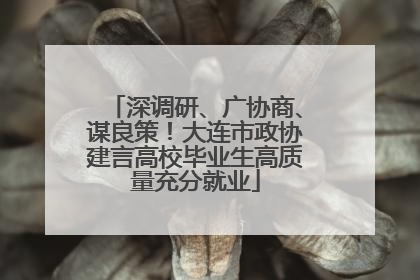 深调研、广协商、谋良策！大连市政协建言高校毕业生高质量充分就业