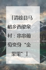 清徐县马峪乡西梁泉村：串串葡萄变身“金果果”