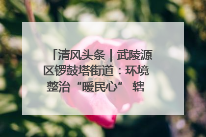清风头条｜武陵源区锣鼓塔街道：环境整治“暖民心” 辖区面貌“靓”起来