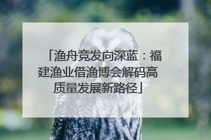 渔舟竞发向深蓝：福建渔业借渔博会解码高质量发展新路径